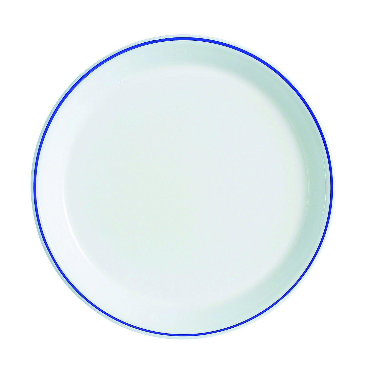 Assiette Plate Heat System Filet Bleu Diam 230 Mm Mjpro